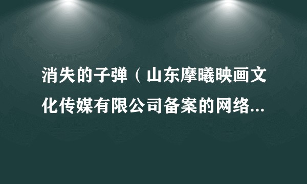 消失的子弹（山东摩曦映画文化传媒有限公司备案的网络微短剧）