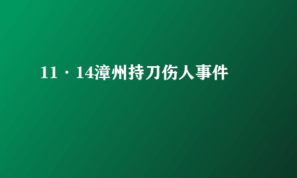 11·14漳州持刀伤人事件