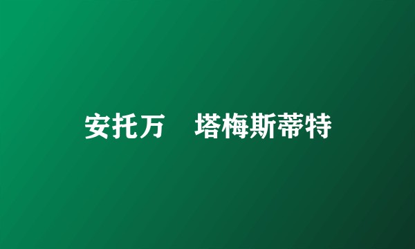 安托万・塔梅斯蒂特
