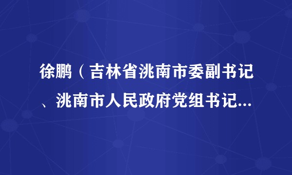 徐鹏（吉林省洮南市委副书记、洮南市人民政府党组书记、市长）