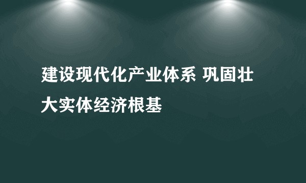 建设现代化产业体系 巩固壮大实体经济根基