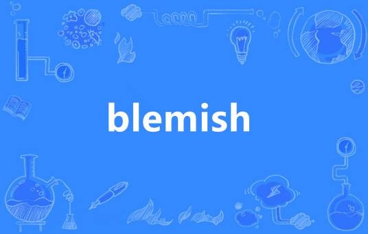 Blemish（英语单词）