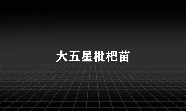 大五星枇杷苗