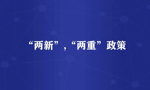 “两新”,“两重”政策
