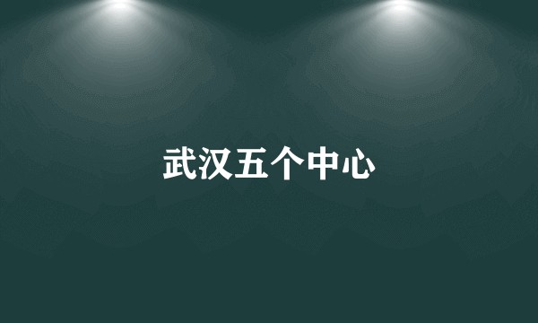 武汉五个中心