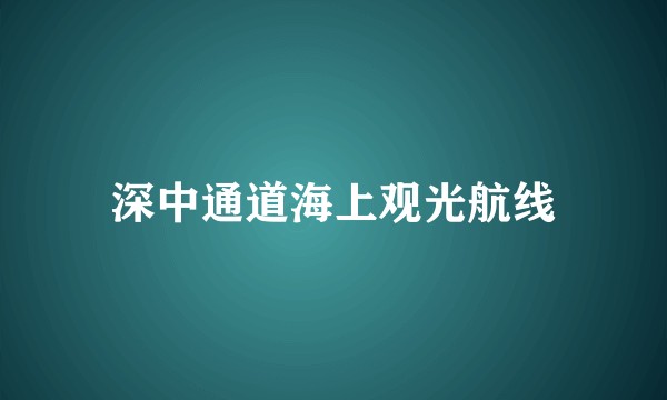 深中通道海上观光航线
