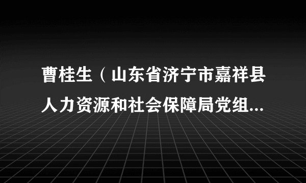 曹桂生（山东省济宁市嘉祥县人力资源和社会保障局党组书记、局长）
