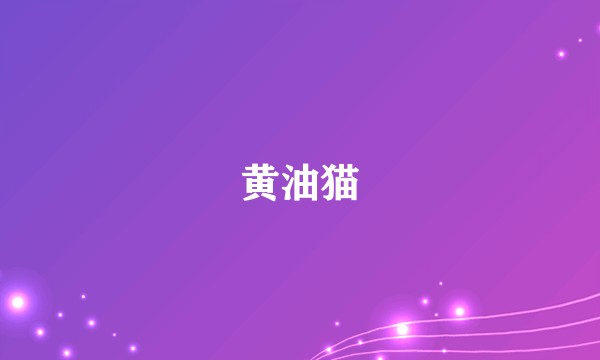 黄油猫