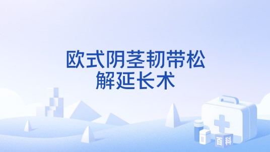 欧式阴茎韧带松解延长术