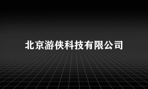 北京游侠科技有限公司