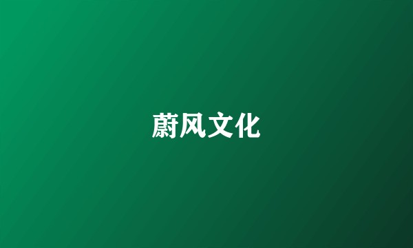 蔚风文化