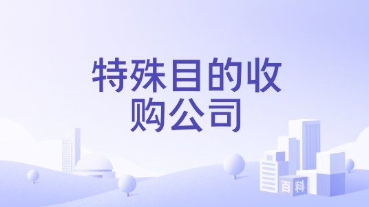 特殊目的收购公司