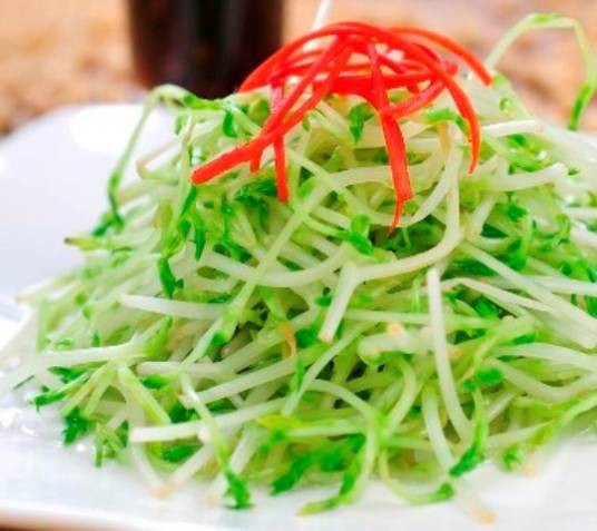 凉拌芽菜