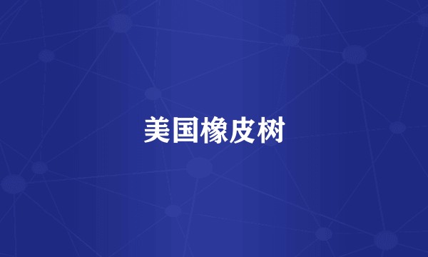 美国橡皮树