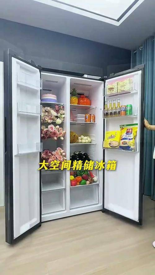 双门冰箱