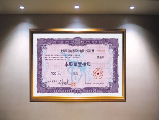 上海双鹿电器股份有限公司股票