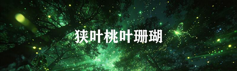 狭叶桃叶珊瑚