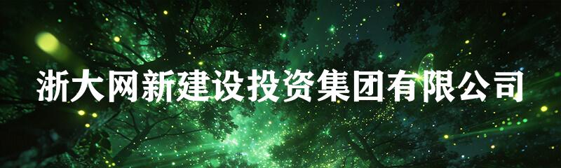 浙大网新建设投资集团有限公司
