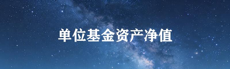 单位基金资产净值