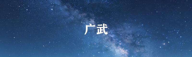 广武