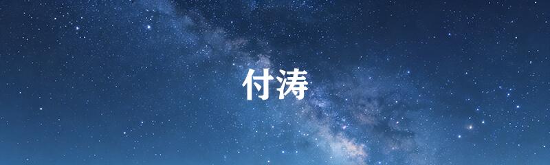 付涛
