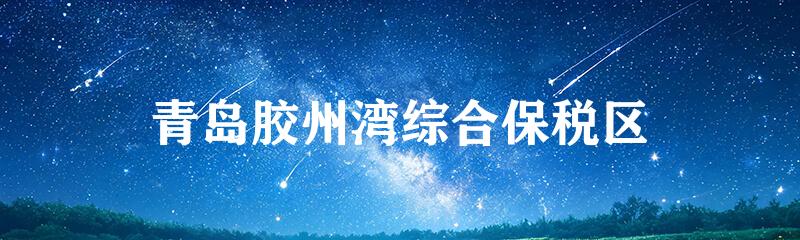 青岛胶州湾综合保税区