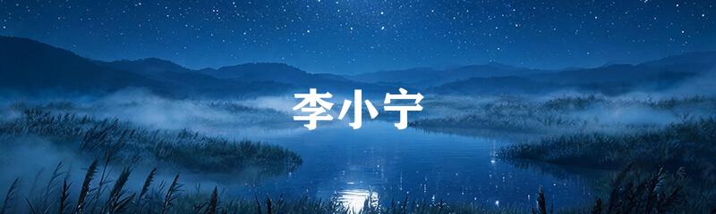 李小宁