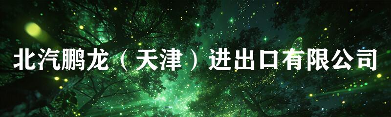 北汽鹏龙（天津）进出口有限公司