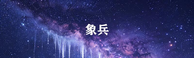 象兵