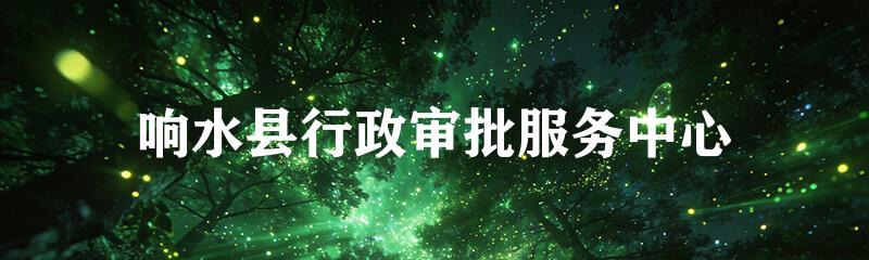 响水县行政审批服务中心