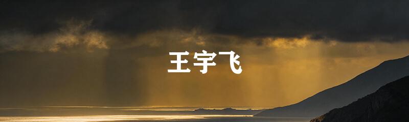 王宇飞
