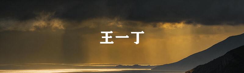 王一丁