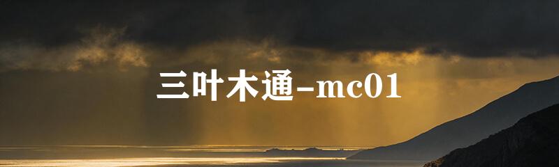 三叶木通-mc01