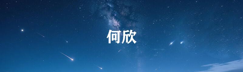 何欣