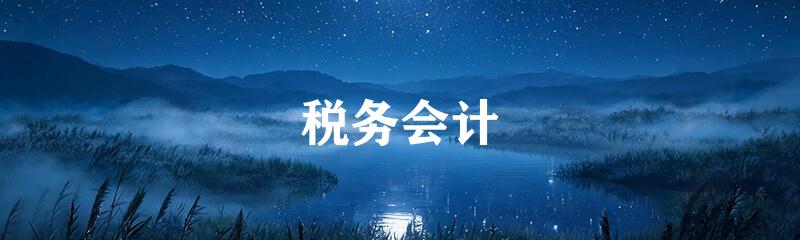 税务会计