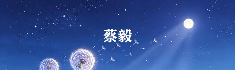 蔡毅