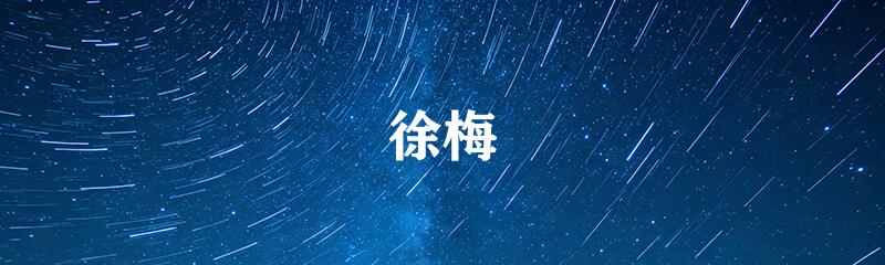 徐梅