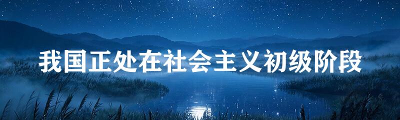 我国正处在社会主义初级阶段