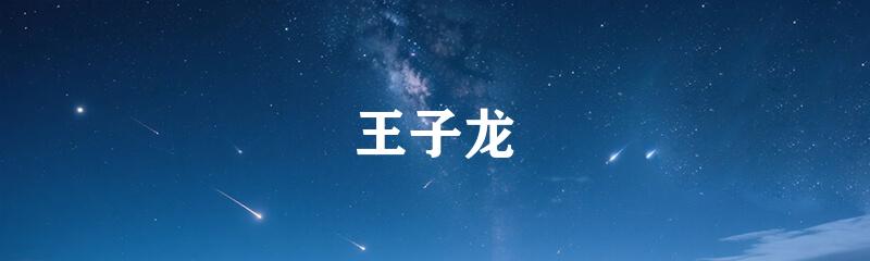 王子龙