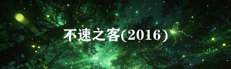 不速之客(2016)