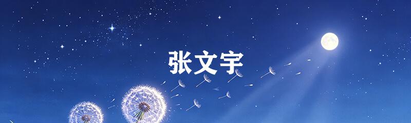 张文宇