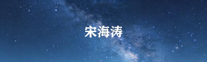 宋海涛