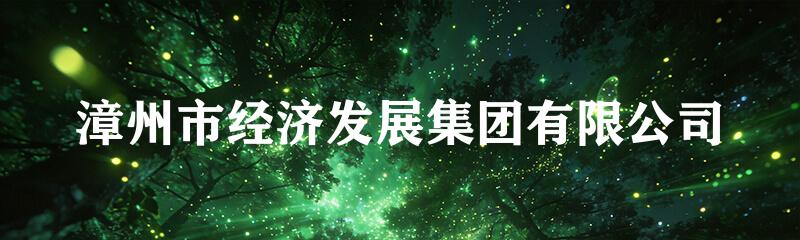 漳州市经济发展集团有限公司