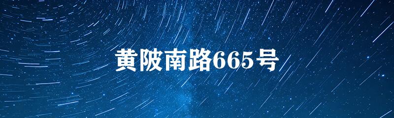 黄陂南路665号