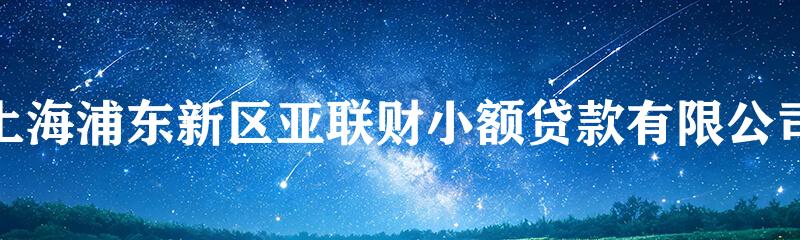 上海浦东新区亚联财小额贷款有限公司