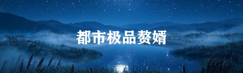 都市极品赘婿