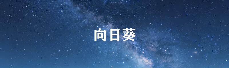 向日葵
