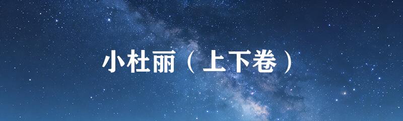小杜丽（上下卷）
