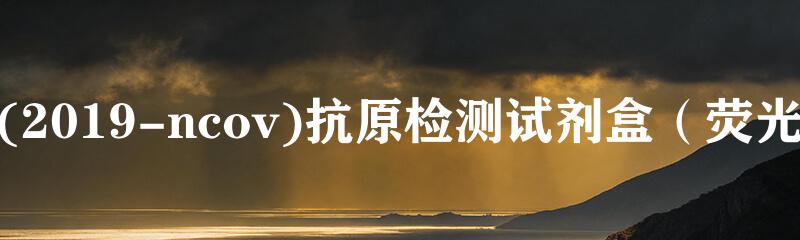 新型冠状病毒(2019-ncov)抗原检测试剂盒（荧光免疫层析法）