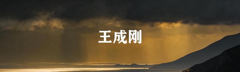 王成刚